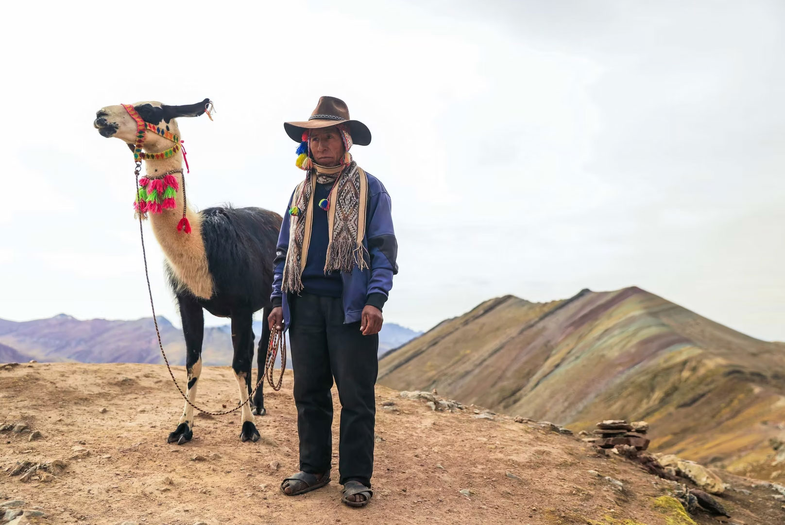 Andean shepherd with a llama in the highlands of the Peruvian Andes