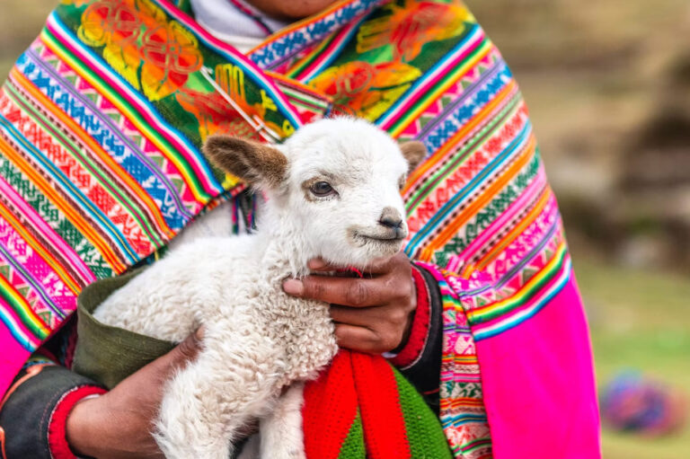 andean woman from peru