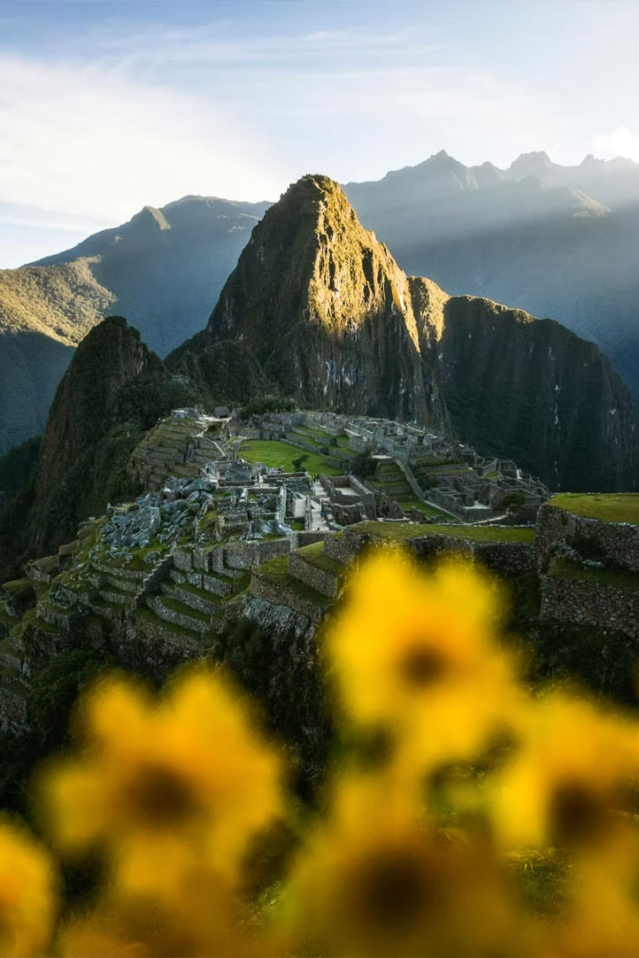 Machu Picchu Inca citadel with mountains and yellow flowers in the foreground