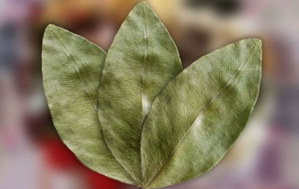 Coca leaves used in traditional Andean rituals during the Ausangate trek