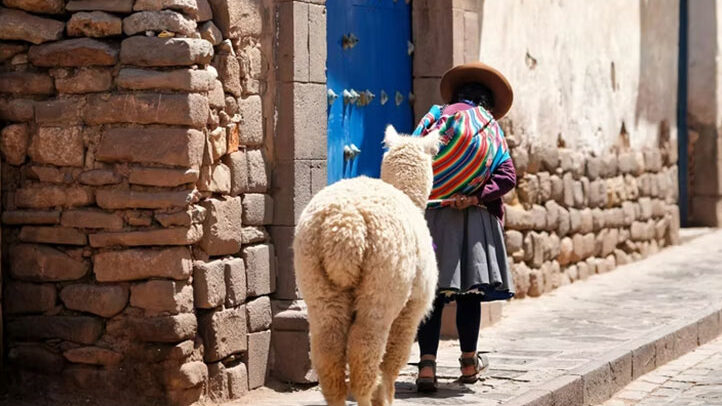 Andean woman walking with an alpaca along a historic stone street